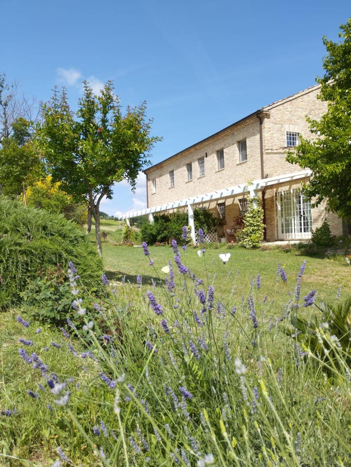 Il Giardino Nella Valle Belvedere Ostrense Habitación foto